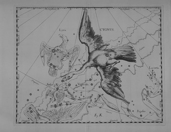 Labu z atlasu J. Hevelia