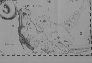 Konk z atlasu J. Hevelia