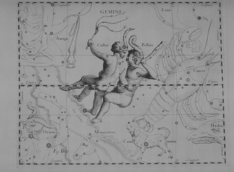 Bl�enci z atlasu J. Hevelia