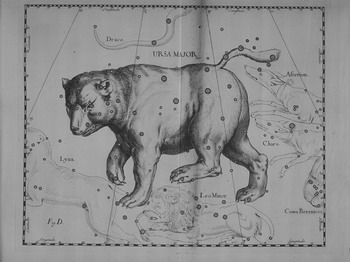 Vek medvedica z atlasu J. Hevelia